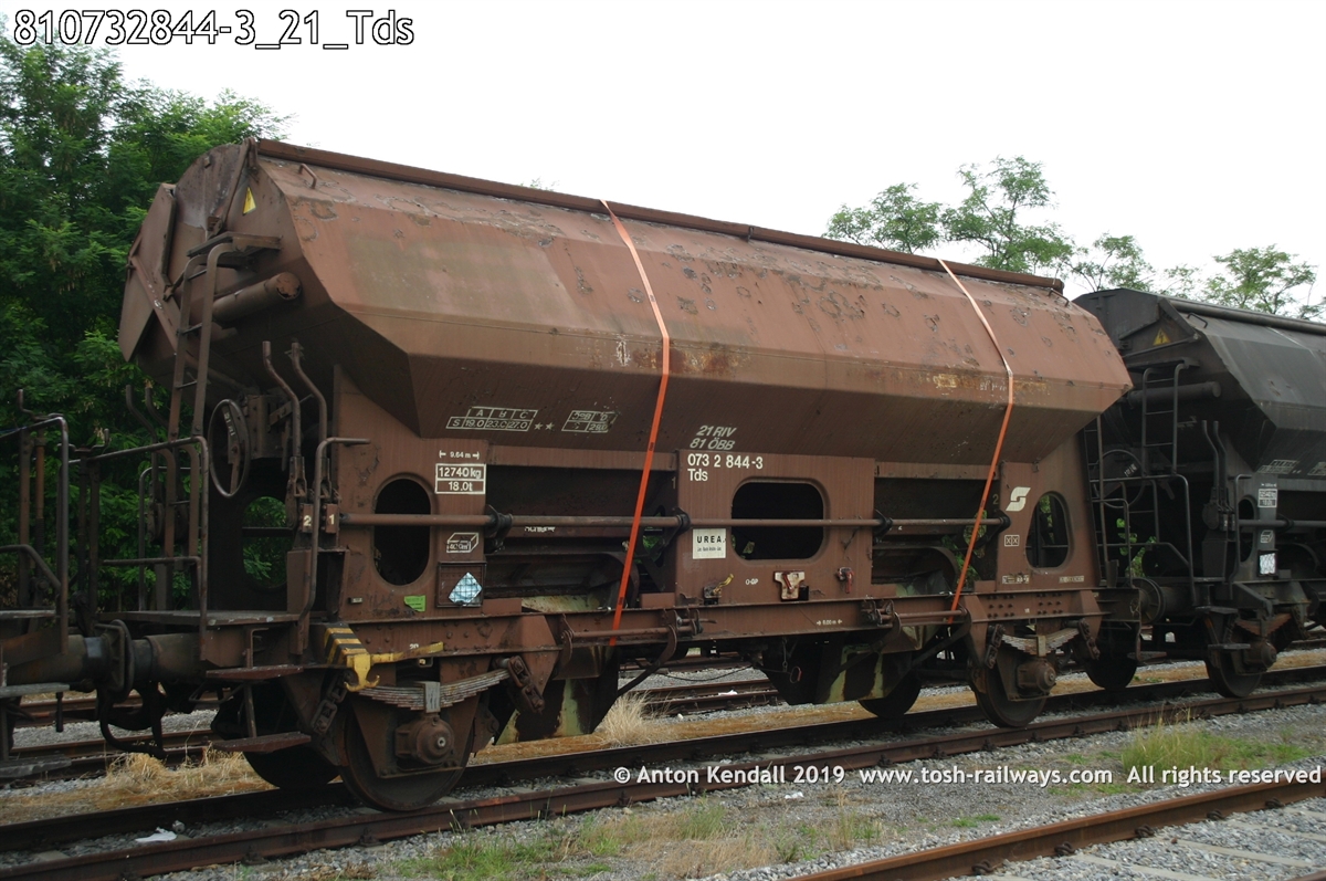 810732844-3_21_Tds.jpg